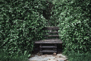 Fototapeta na wymiar Vintage garden bench in the green dense foliage of shrubs.