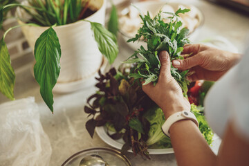 Female hands using basil, persil and other greens for making a salad. Healthy eating concept