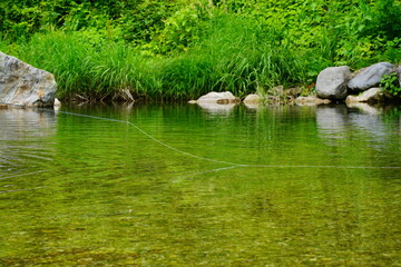(渓流釣り)フライロッドと水面に延びたライン