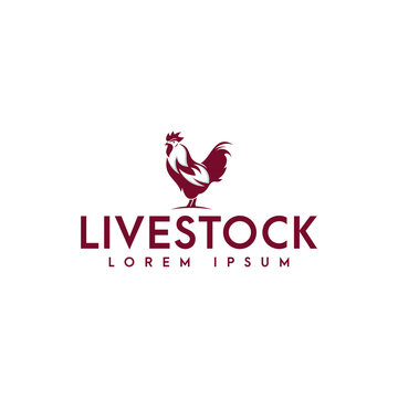 chicken logo icon and vector