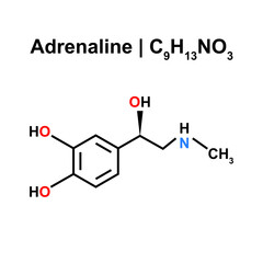 Adrenaline Molecule (C9H13NO3) Chemical Structure. Vector Illustration.