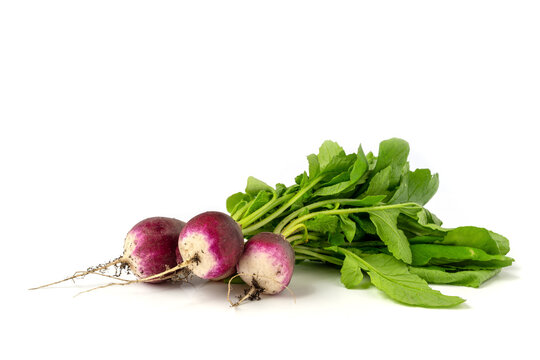 Frische Radieschen mit Blatt vor weissen Hintergrund und noch etwas Erde an den Knollen