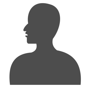 Vector illustration of the gray human silhouette on white background