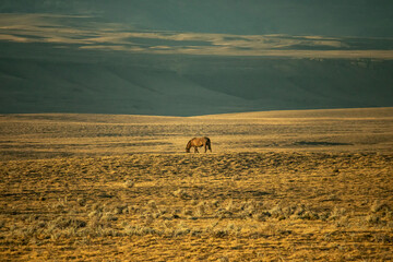 Montanhas e lagos de El Chalten