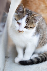 目を開けているのがつらい