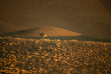 Montanhas e lagos de El Chalten