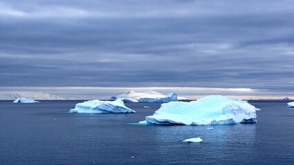 Icebergs floating in the bay at Portal Point in Antarctica