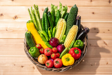 カゴに盛った夏野菜