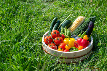カゴに盛った夏野菜