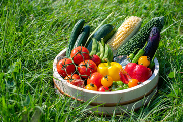 Fototapete bei efototapeten.de bestellen   