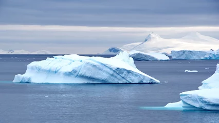 Poster Icebergs floating in the bay at Portal Point in Antarctica © Angela