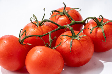 新鮮な枝付きトマト