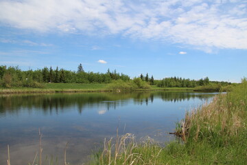Late Spring On The Wetlands, Pylypow Wetlands, Edmonton, Alberta