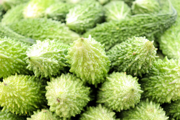 bitter melon stock on shop for sell