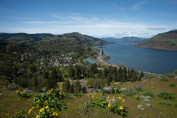 The View from the Mosier Plateau, Mosier, Oregon, in the Columbia Gorge, Oregon, Taken in Spring