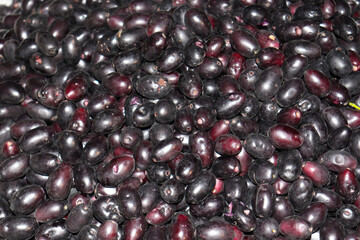 black java plum stock on shop