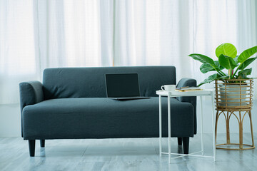 Gray sofa and plant pots in a modern room Scandinavian style living room real photo