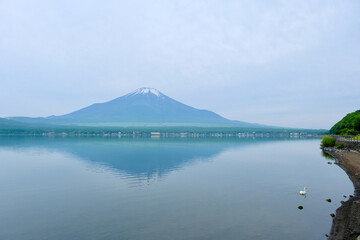【山梨】山中湖長池親水公園から見る初夏の富士山
