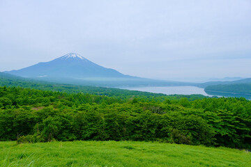 Fototapeta premium 【山梨】パノラマ台から見る山中湖と富士山（初夏）