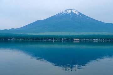 【山梨】山中湖長池親水公園から見る初夏の富士山