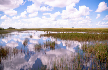 The marsh of Everglades National Park in Miami, USA
에버글레이즈 내셔널 국립공원, 마이애미