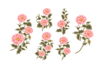 Vintage Hand Drawn Garden Rose & Peony Flower Vector Illustration Elements, Clipart Collection for Wedding Invitation, Greeting Card Decoration Set, Aesthetic Nature Crafts, Art and Creative Projects