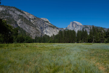 Obraz premium Yosemite National Park, El Portal, CA
