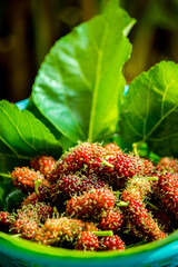 Mulberry fruit has properties that are good for health.