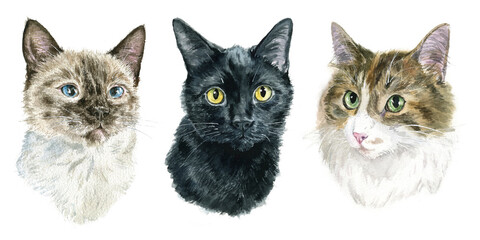 Watercolor realistic cat portrait, pet portrait, for cat lover