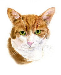 Watercolor realistic cat portrait, pet portrait, for cat lover