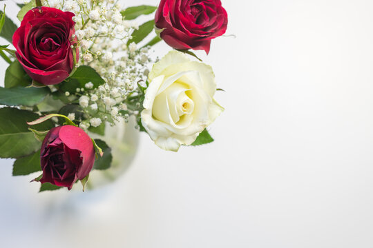 High angle closeup of cream and red roses in vase on white background with copy space (selective focus)