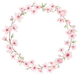 Fototapeta na wymiar Round frame with Branch of Cherry blossom illustration. Watercolor painting sakura wreath isolated on white. Japanese flower