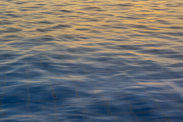 The Abstract Photo of ไฟอำ in the pool