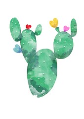 Cactus green succulent house plant with colorful blooming flowers heart shape illustration isolated,  plant or botanical painting on white background 