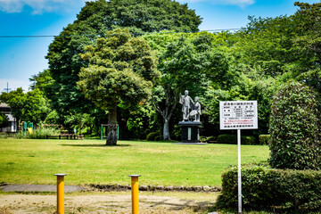 people walking in park