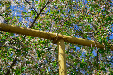 a steel gas pipe leads to the boiler room of a private house.a gas pipe runs through the trees.