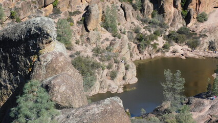 the river in the forest