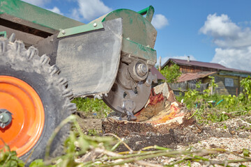 Stump Grinder