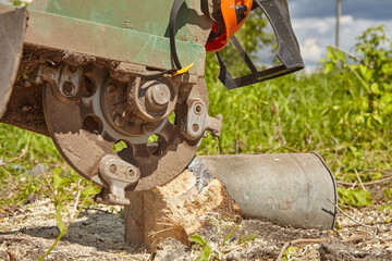 The stump is crushed using a stump cutting knife. The surrounding savings are held by a barrier. Concept: forestry or construction site
