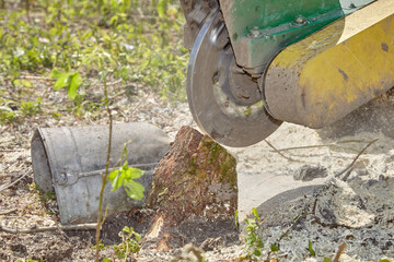 Stump grinder