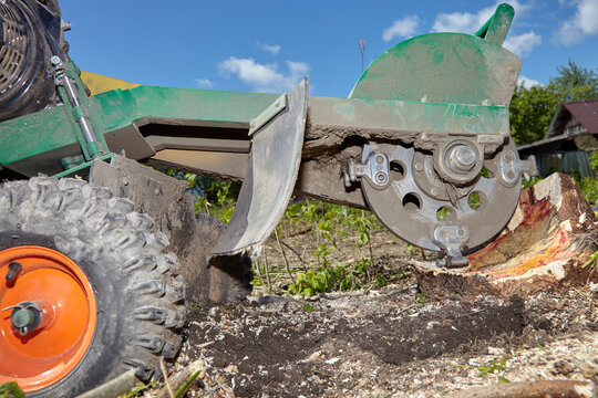 Stump Grinder
