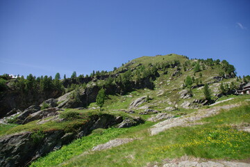 Fototapeta na wymiar Landschaft im hinteren Martelltal