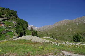 Fototapeta na wymiar Landschaft im hinteren Martelltal