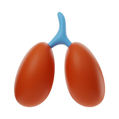 Premium Health Medical icon 3d rendering on isolated background