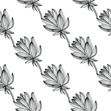 Wildflower lotus flower pattern in a one line style. Outline of the plant: Black and white engraved ink art lotos. Sketch wild flower for background, texture, wrapper pattern, frame or border.