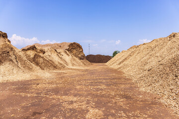 Piles of dried wood chips on a storage site