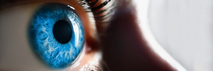 Beautiful open female eye, bright blue lenses, close-up