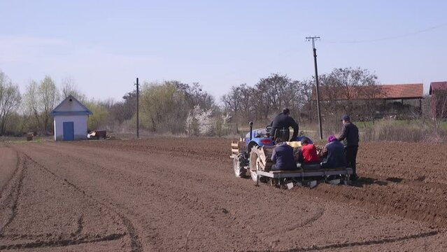 People on the tractor are planting potatoes. Automation of the process of planting potato seeds. High efficiency and speed.  Agroindustry and agribusiness. New technological solutions to simplify work