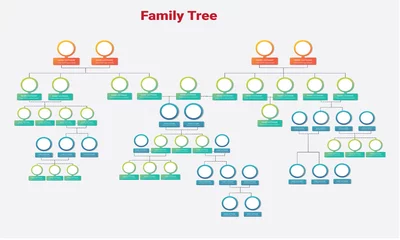 Fotobehang Family tree diagram with photos © Muhammad