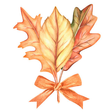 Bouquet of autumn leaves. Watercolor vintage illustration. Isolated on a white background.For design